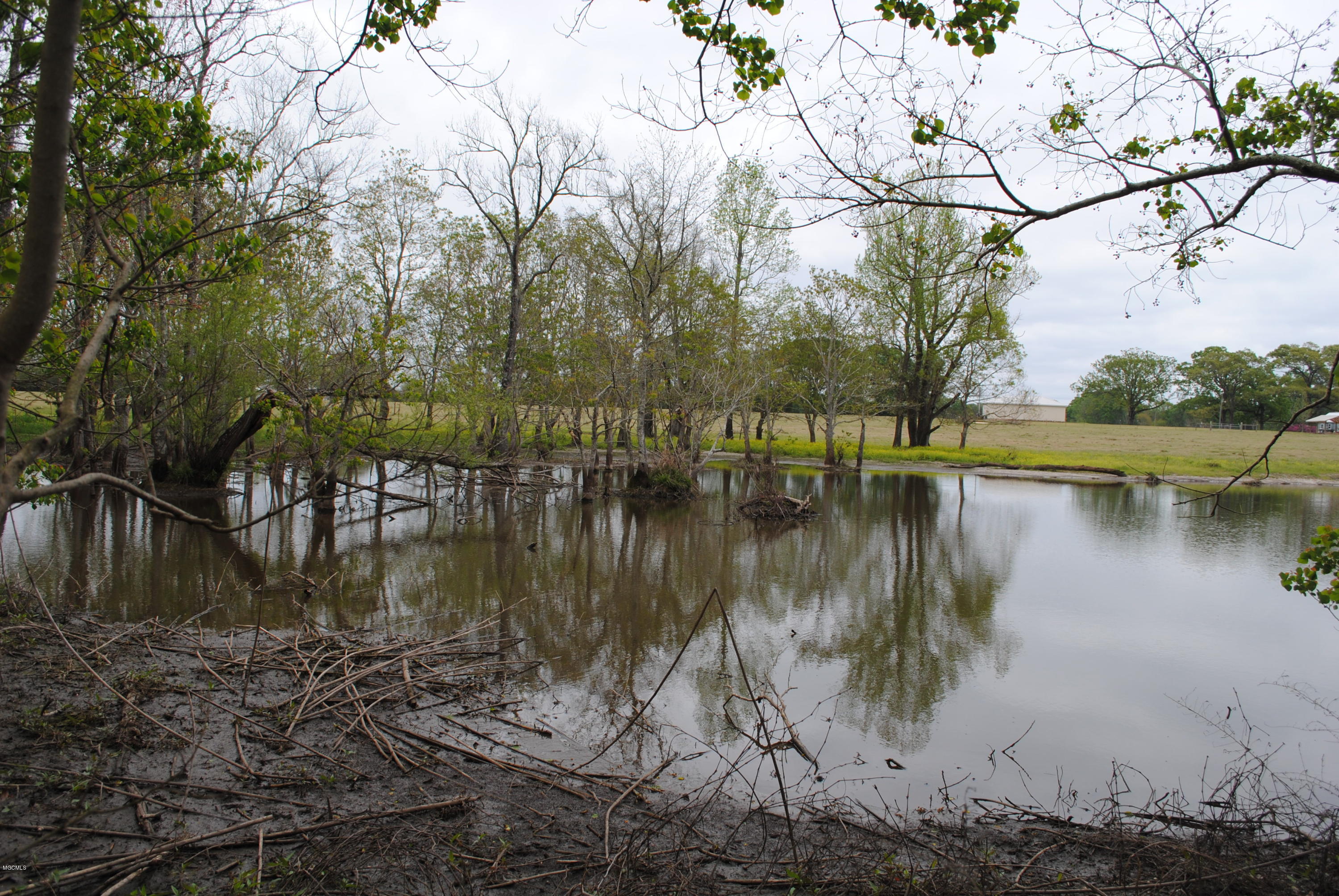 Tbd City Bridge Road Perkinston, MS 39573 - Photo 3 of 11 Pond 3