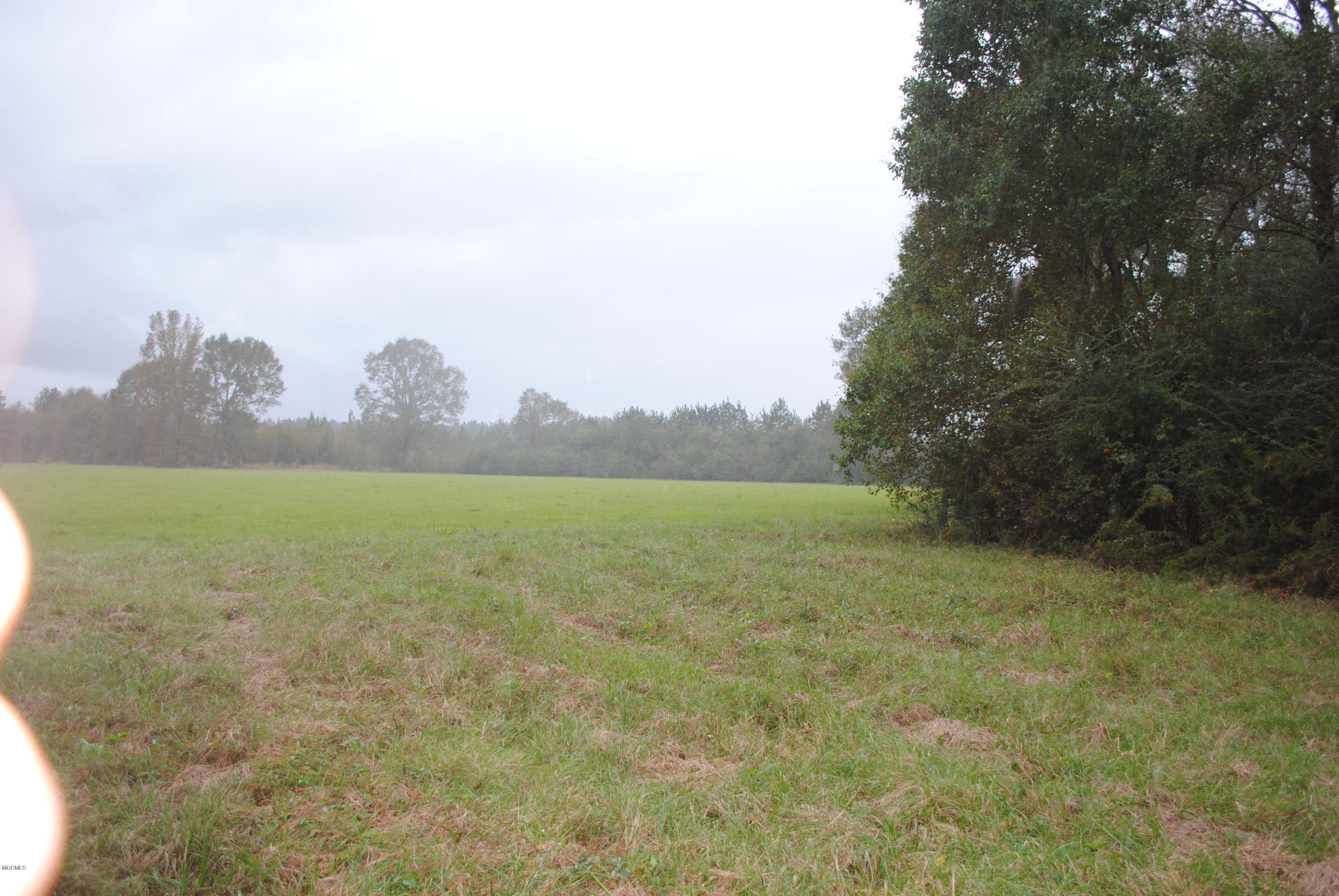 Tbd City Bridge Road Perkinston, MS 39573 - Photo 4 of 11 West Side