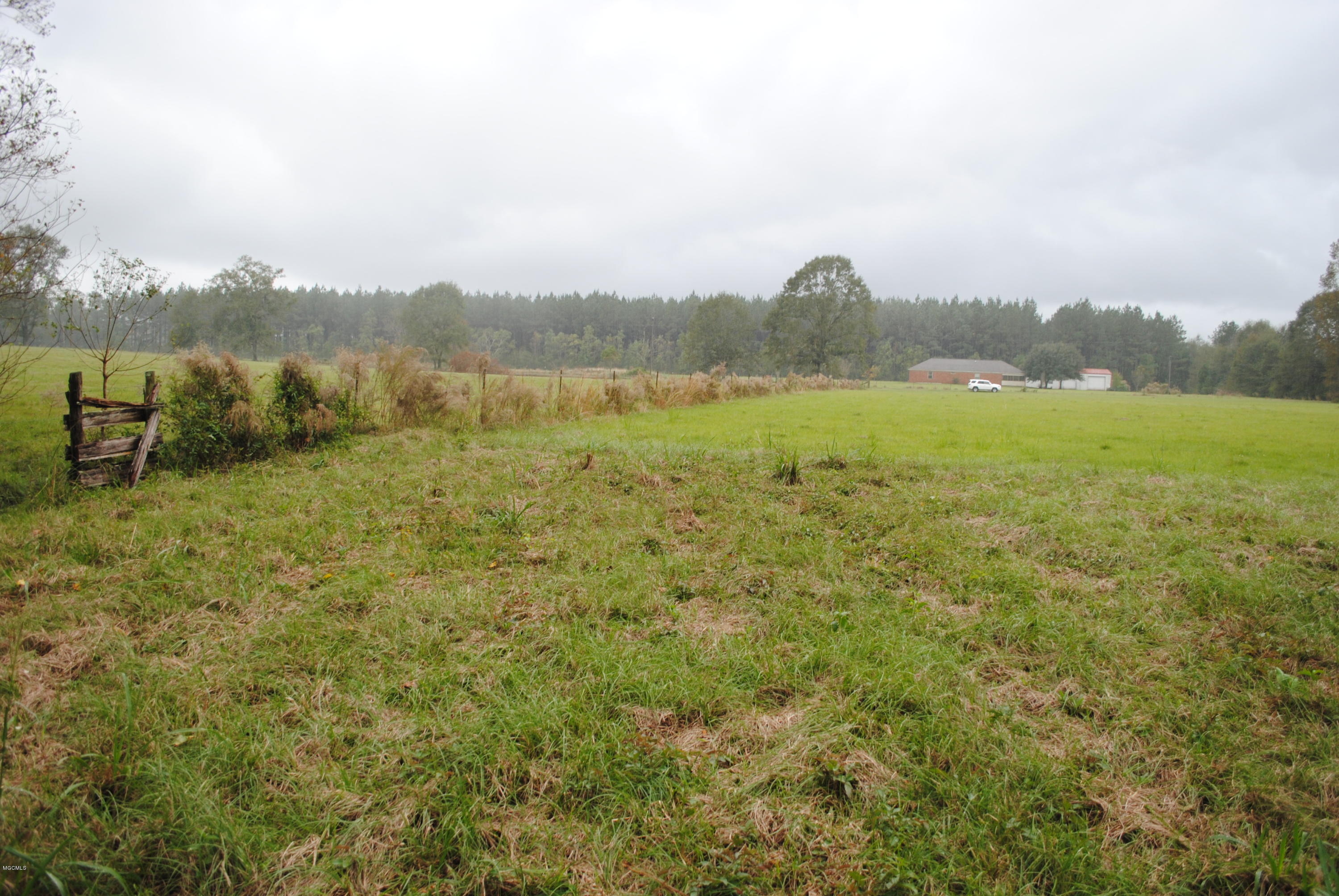Tbd City Bridge Road Perkinston, MS 39573 - Photo 5 of 11 Land