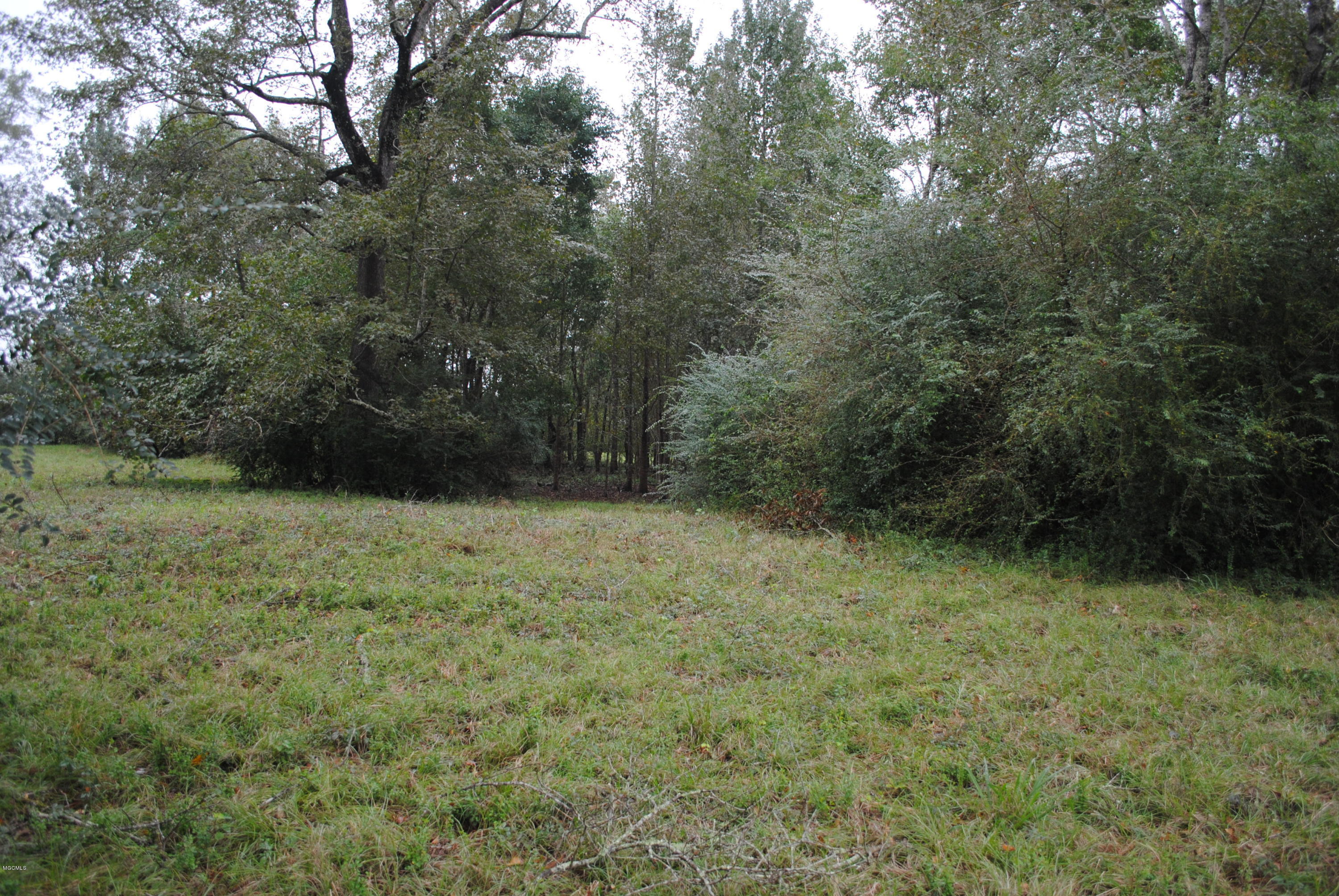 Tbd City Bridge Road Perkinston, MS 39573 - Photo 7 of 11 Hardwoods