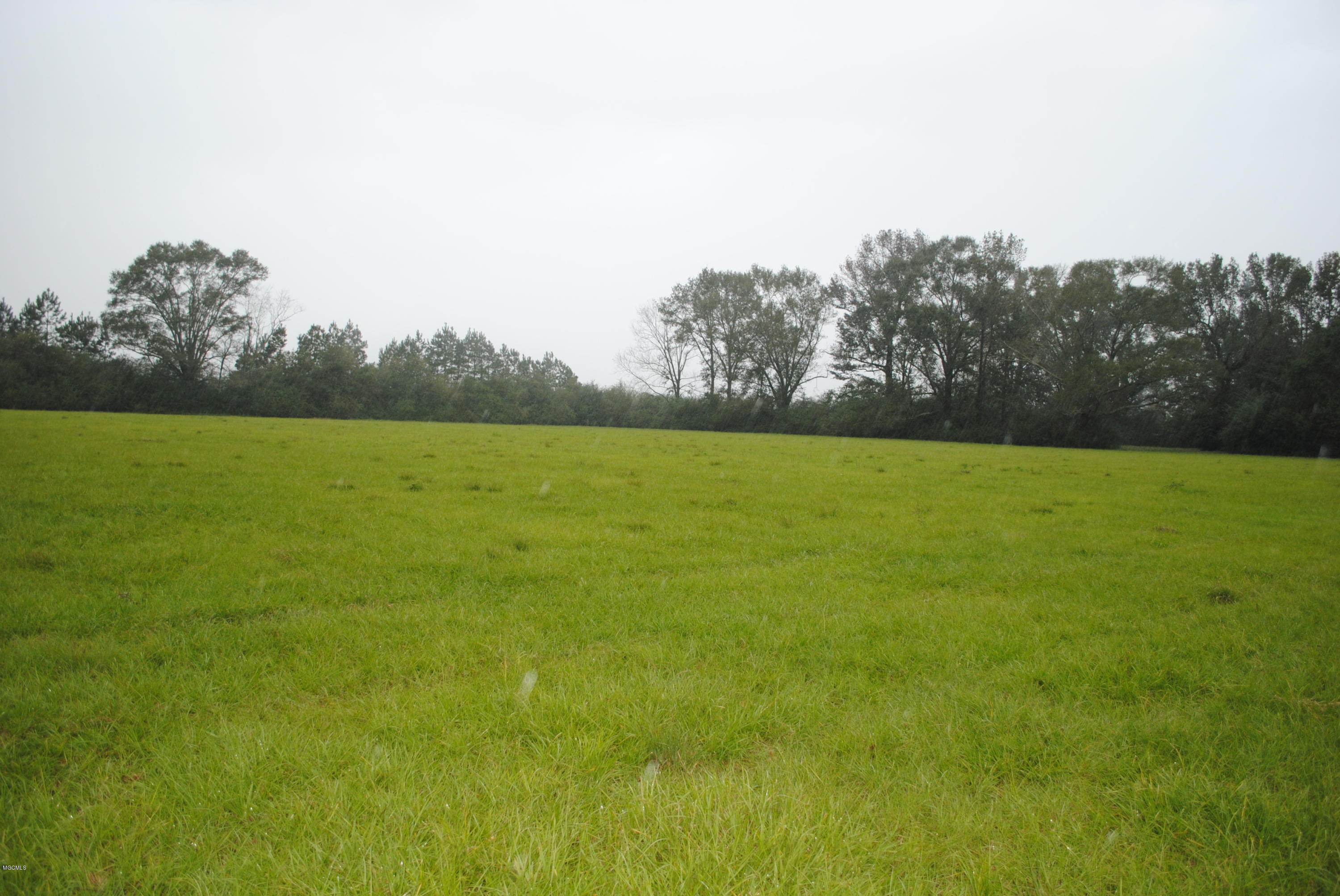 Tbd City Bridge Road Perkinston, MS 39573 - Photo 9 of 11 Land