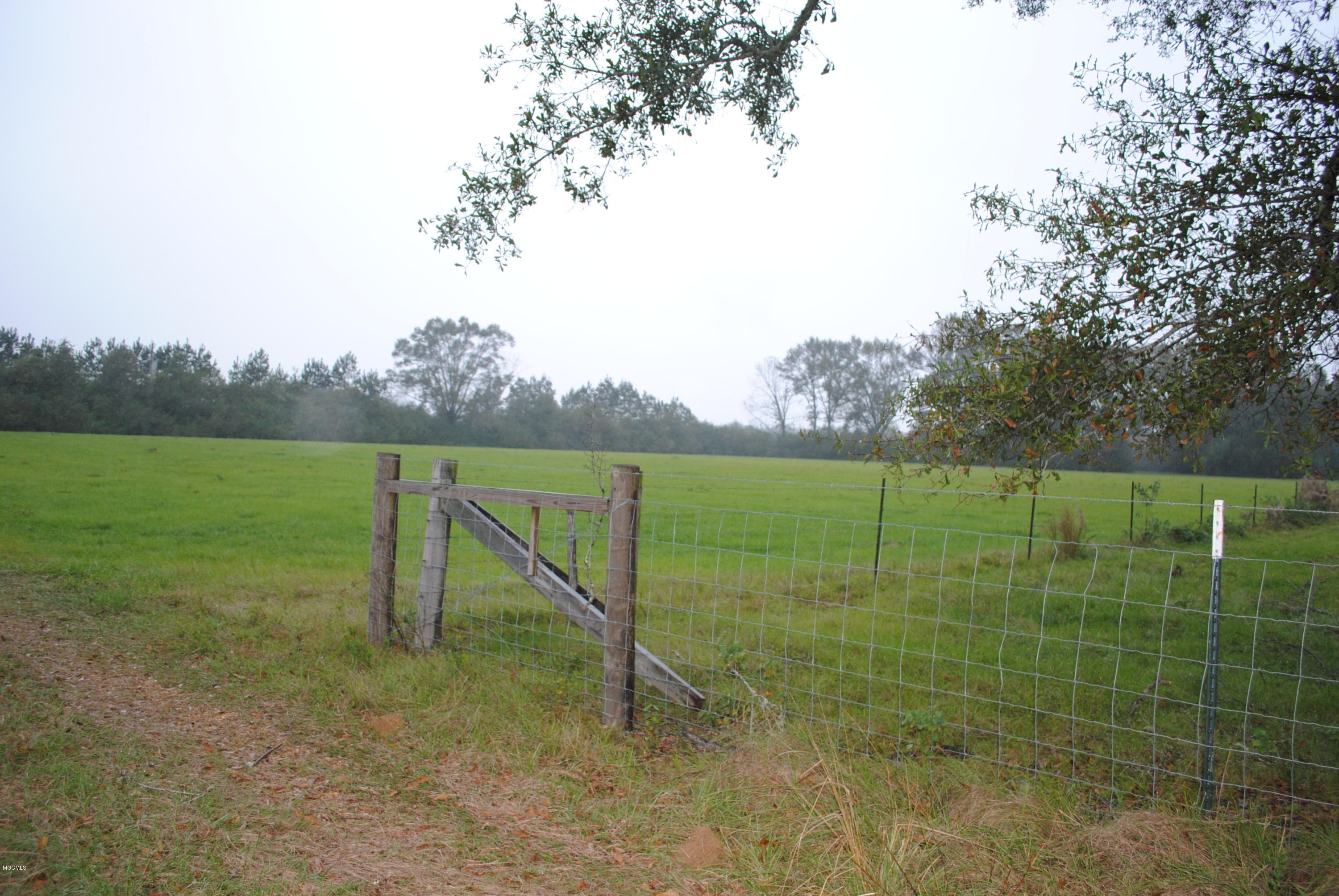 Tbd City Bridge Road Perkinston, MS 39573 - Photo 10 of 11 Land