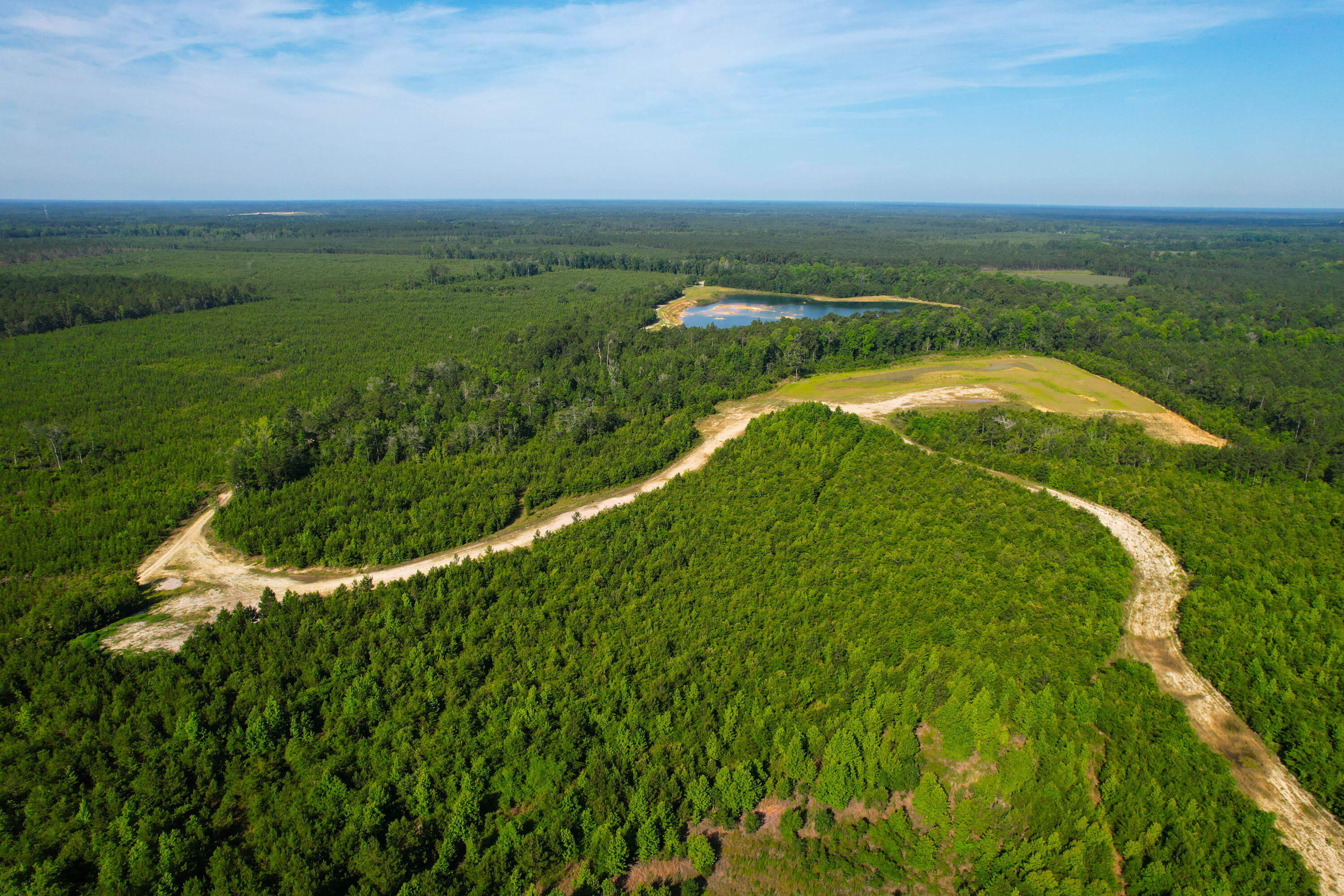 1 Beidler Forest Road Dorchester, SC 29437 - Photo 28 of 32 1 Beidler (71)