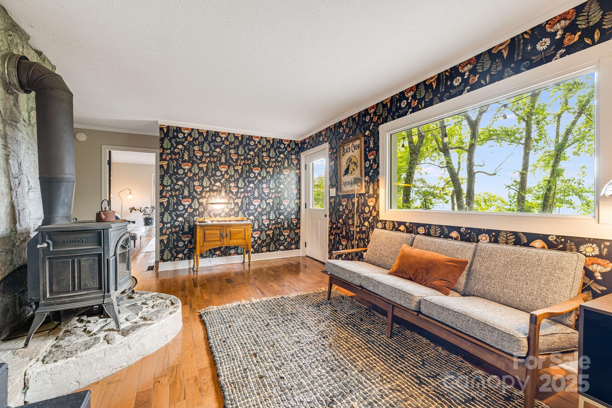 90 Reed Road Asheville, NC 28805 - Photo 23 of 48 Gallery Image 23