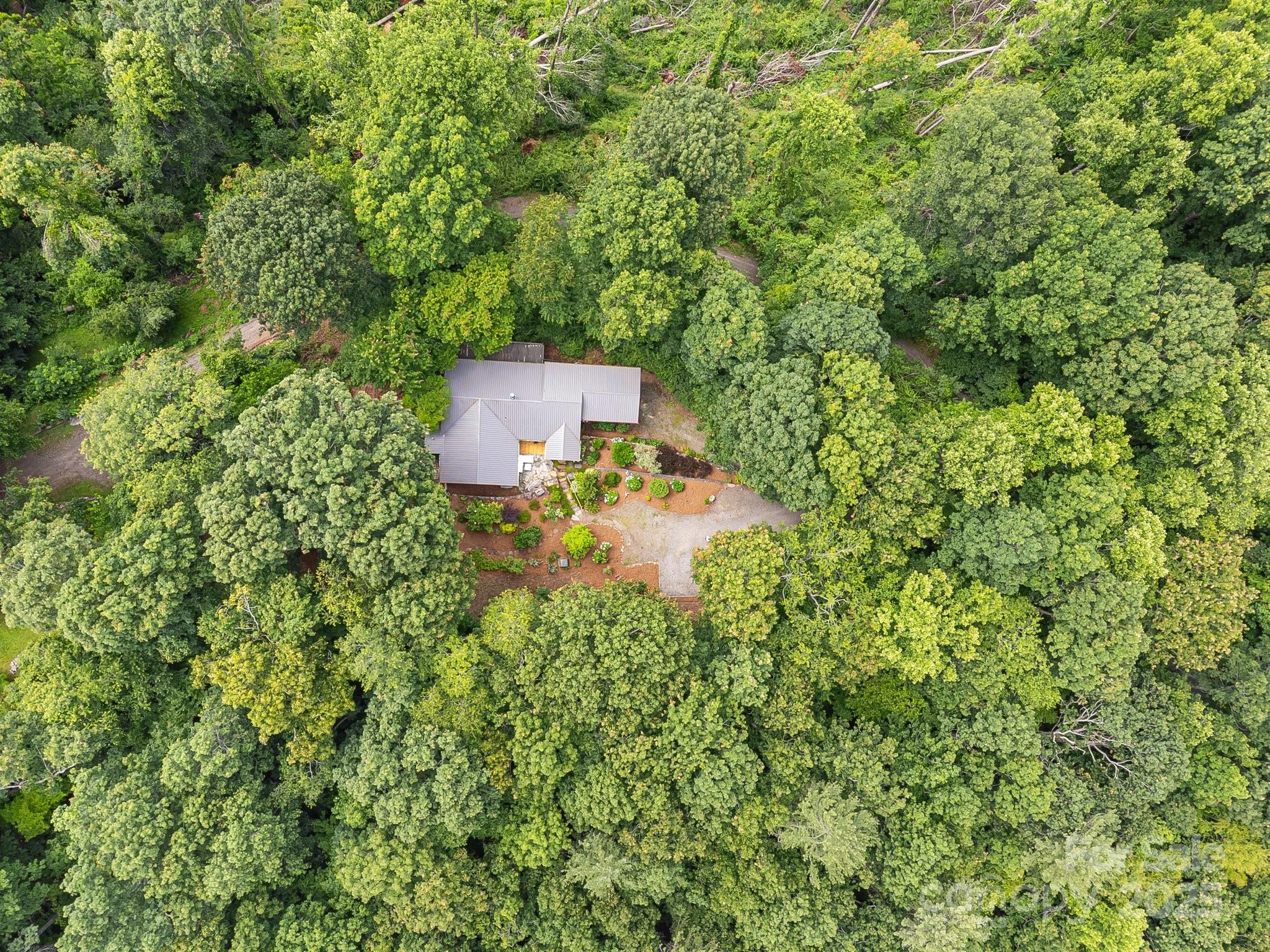 90 Reed Road Asheville, NC 28805 - Photo 47 of 48 Gallery Image 47