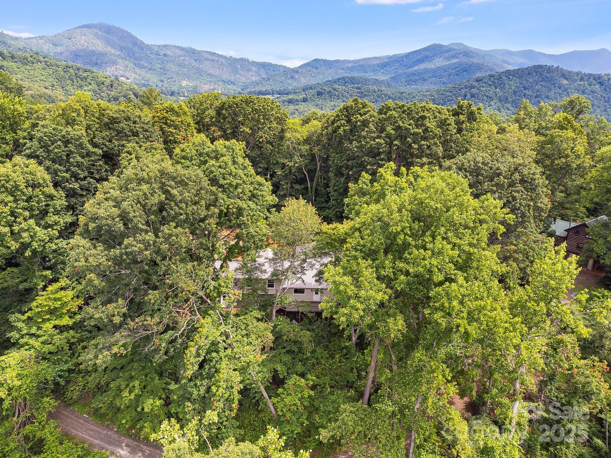 90 Reed Road Asheville, NC 28805 - Photo 48 of 48 Gallery Image 48