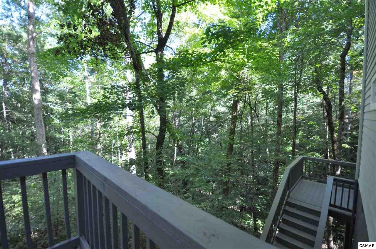 438 Laurel Road Townsend, TN 37882 - Photo 13 of 28 Gallery Image 13