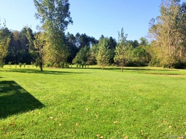 13333 Briar Hill Road Carleton, MI 48117 - Photo 3 of 26 b back yard.JPG