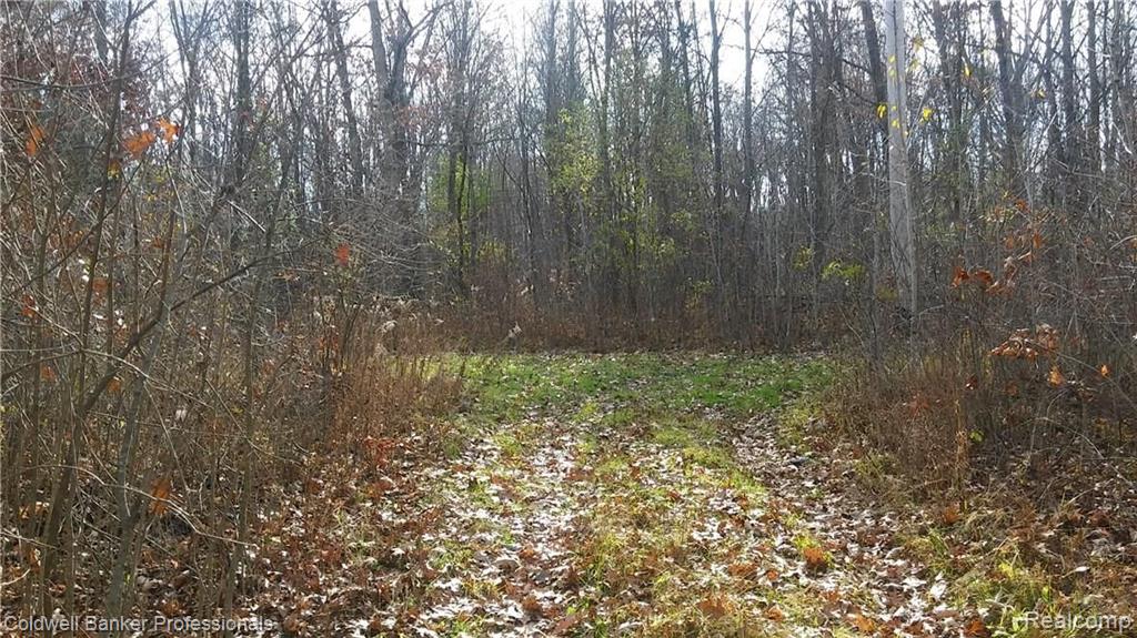 Eight West Eight Mile Road South Lyon, MI 48178 - Photo 5 of 58