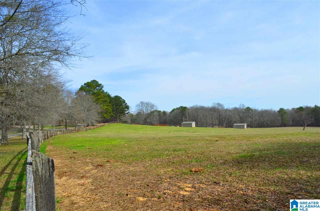 10 Spring Branch Road Columbiana, AL 35051 - Photo 5 of 49