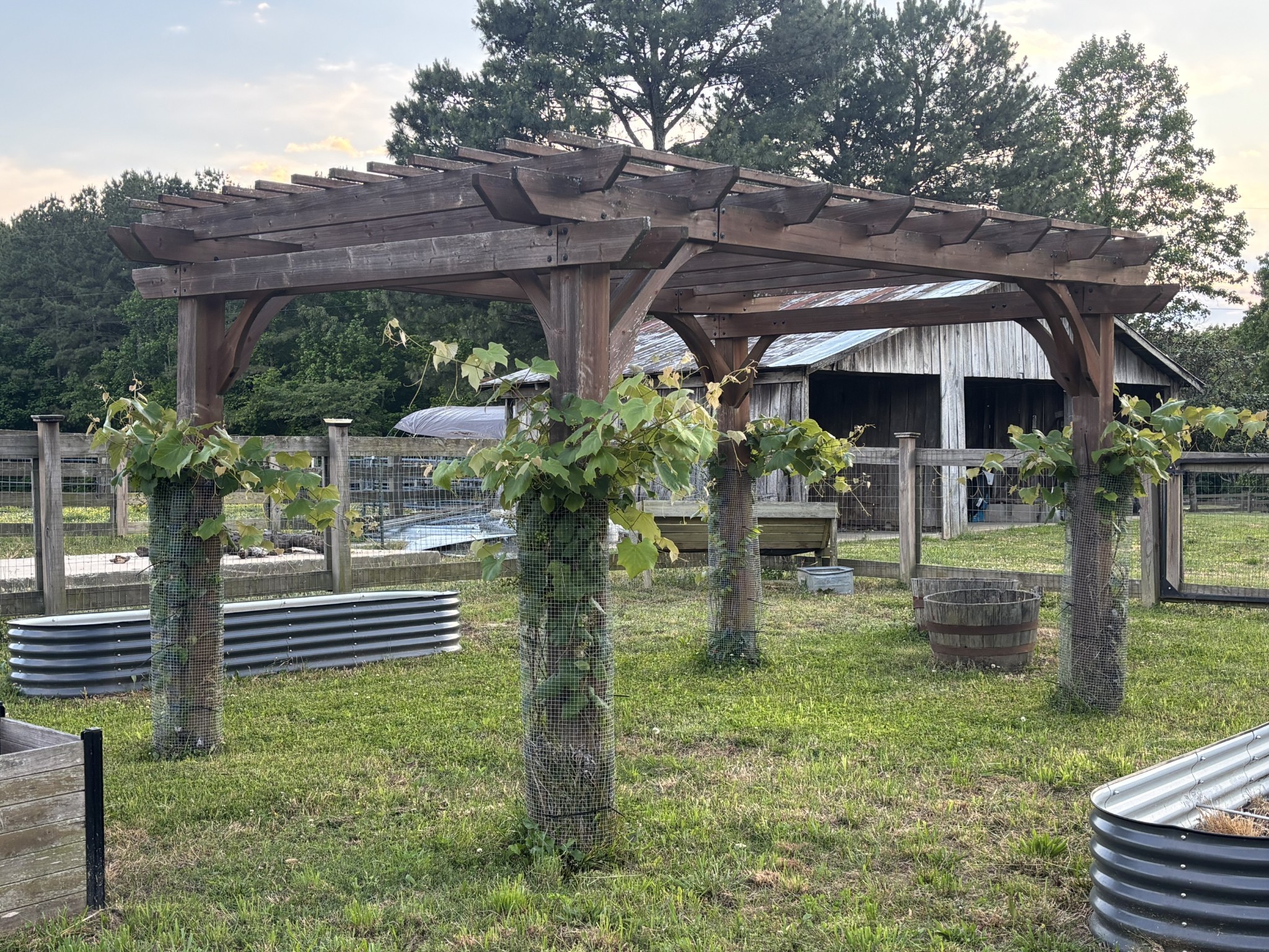 1241 Johnson Branch Road Pulaski, TN 38478 - Photo 88 of 91 Gallery Image 88