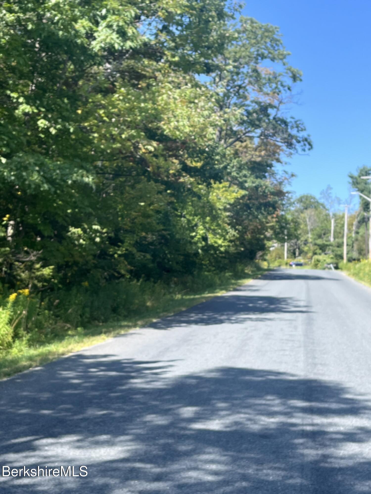 0 Central Shaft Road North Adams, MA 01247 - Photo 2 of 6 a view of backyard and outdoor space