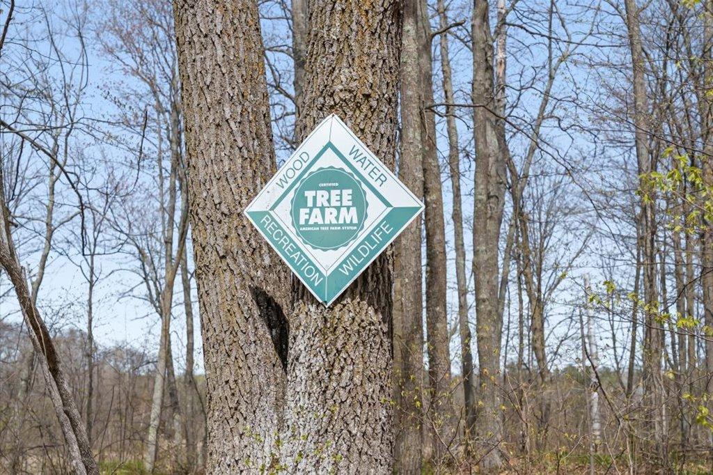 9382 County Road 8 Brainerd, MN 56401 - Photo 41 of 108