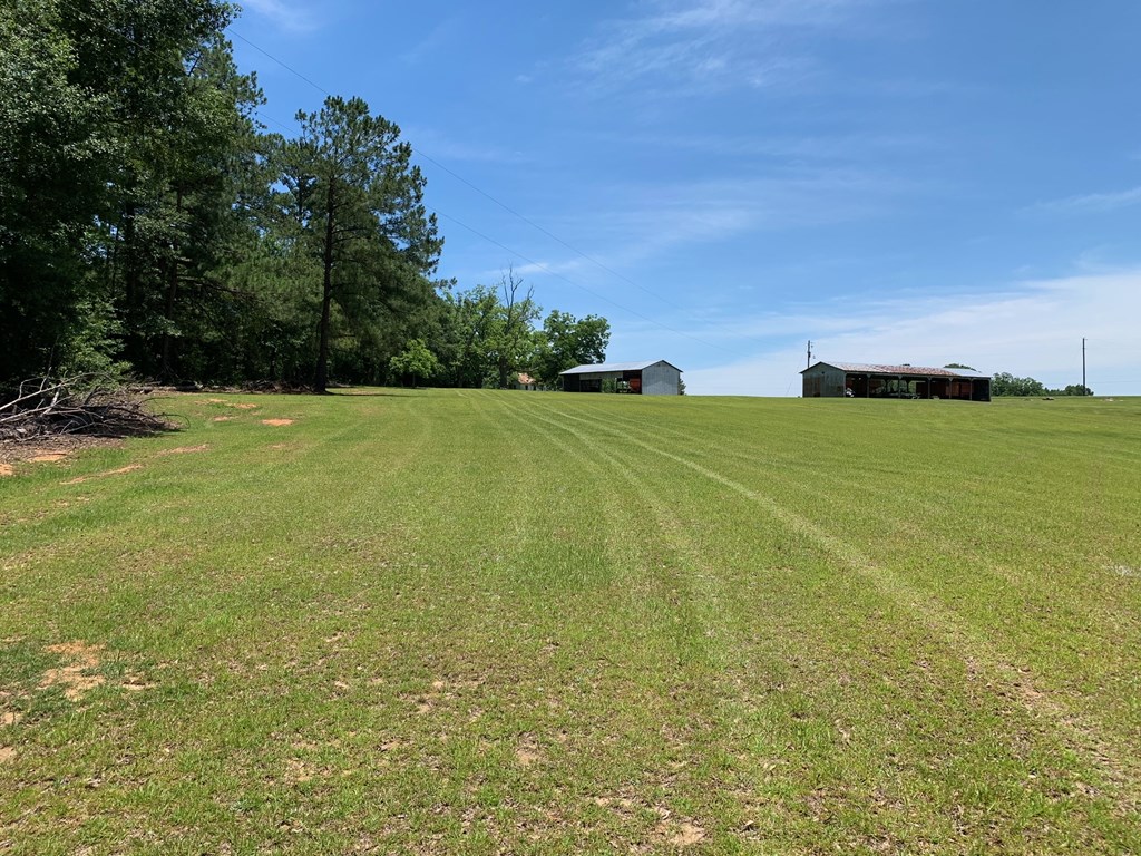 0 South Co Road Ashford, AL 36312 - Photo 7 of 16