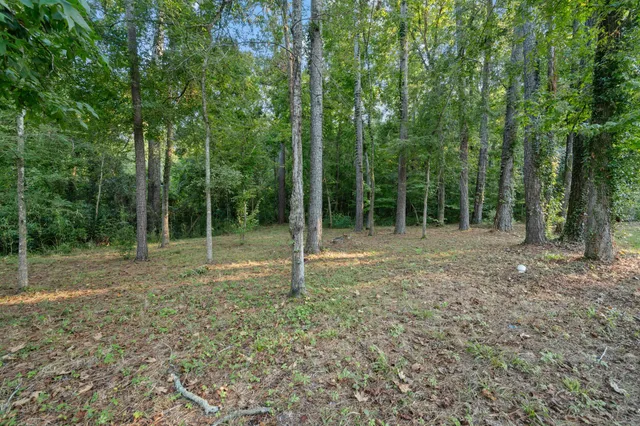 a view of outdoor space with trees