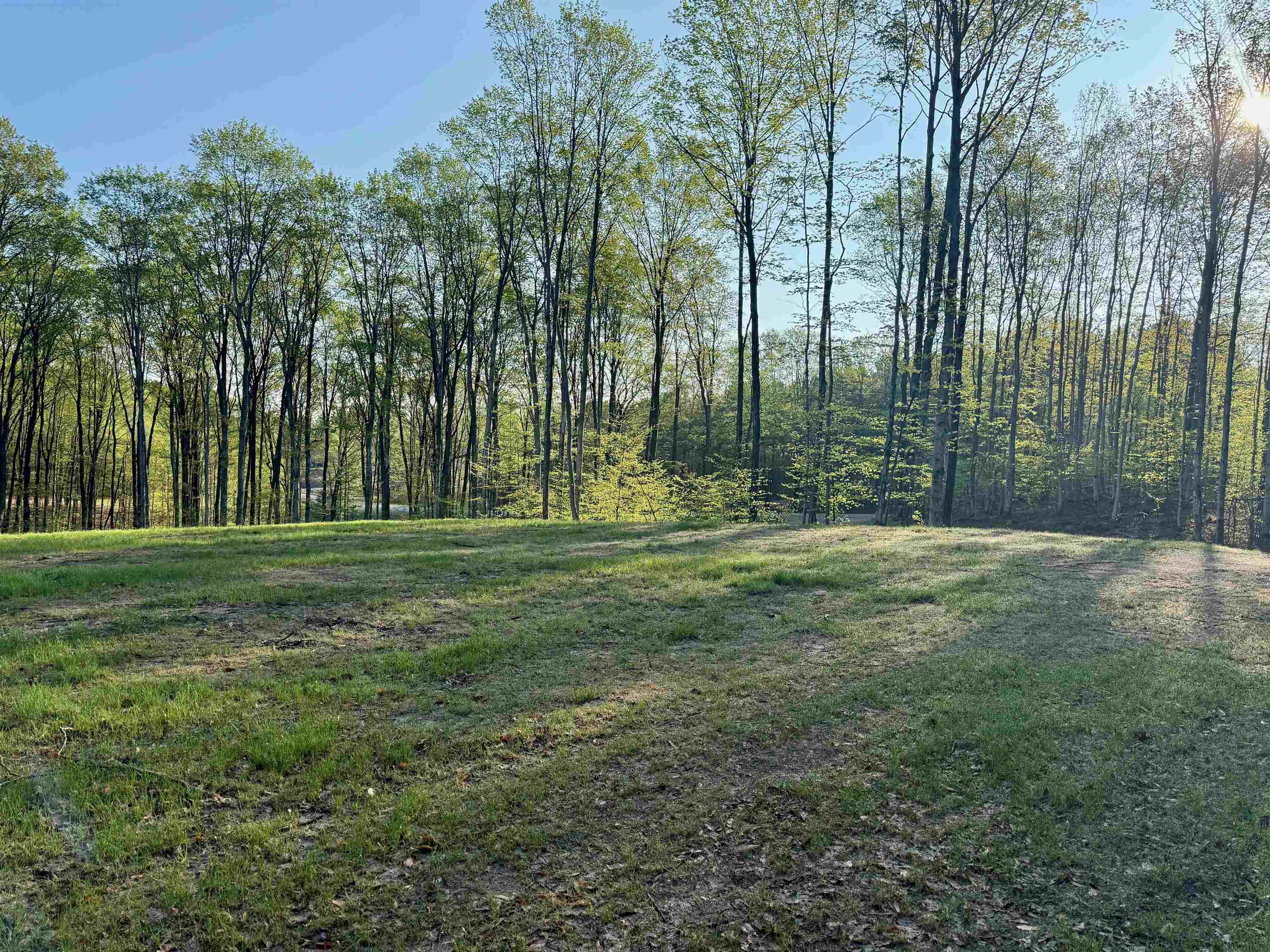 1 South Bright Road, Unit LOT: 1 Maple City, MI 49664 - Photo 7 of 11