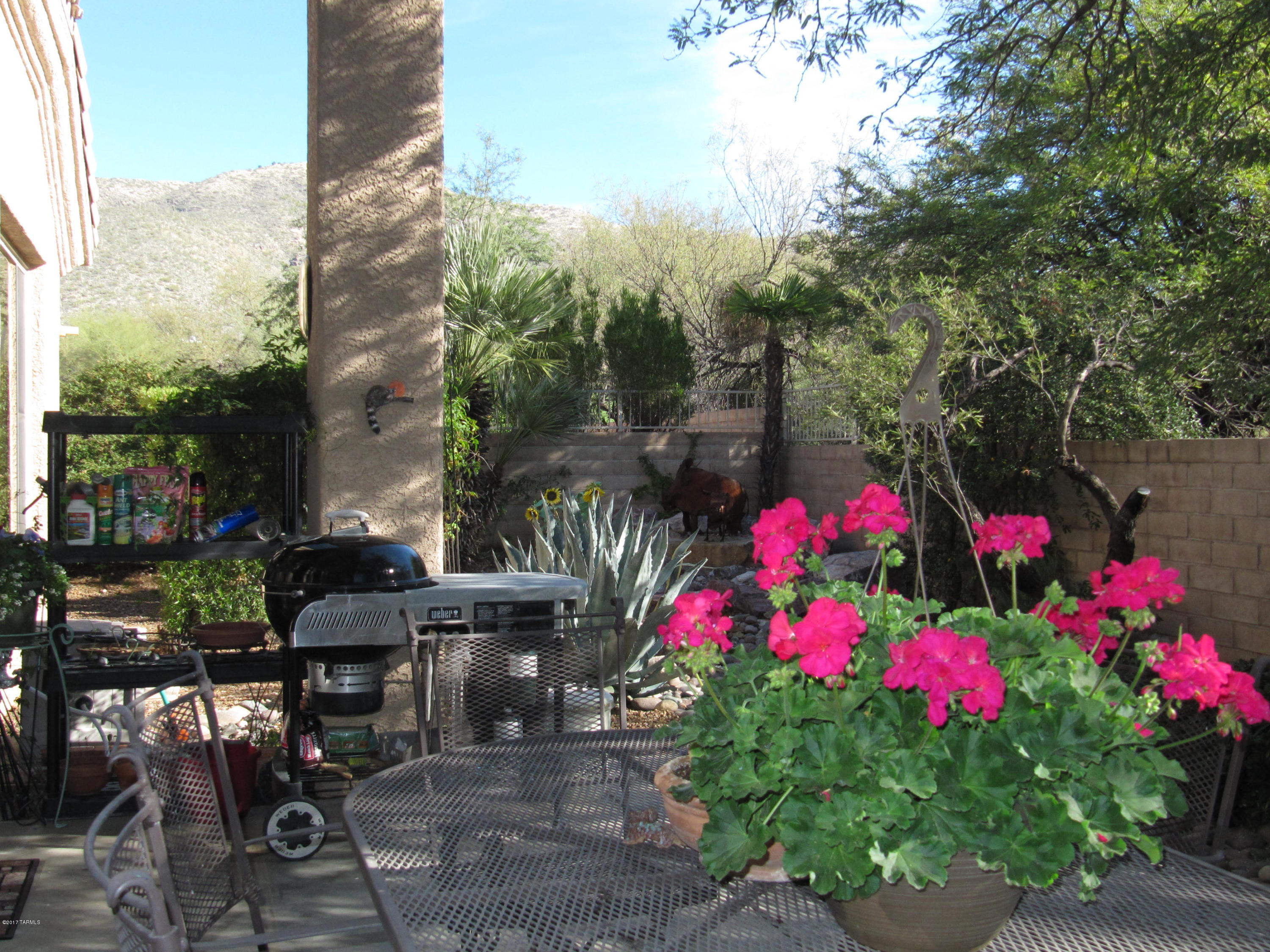 5196 Spring View Drive Tucson, AZ 85749 - Photo 35 of 50 Gallery Image 35