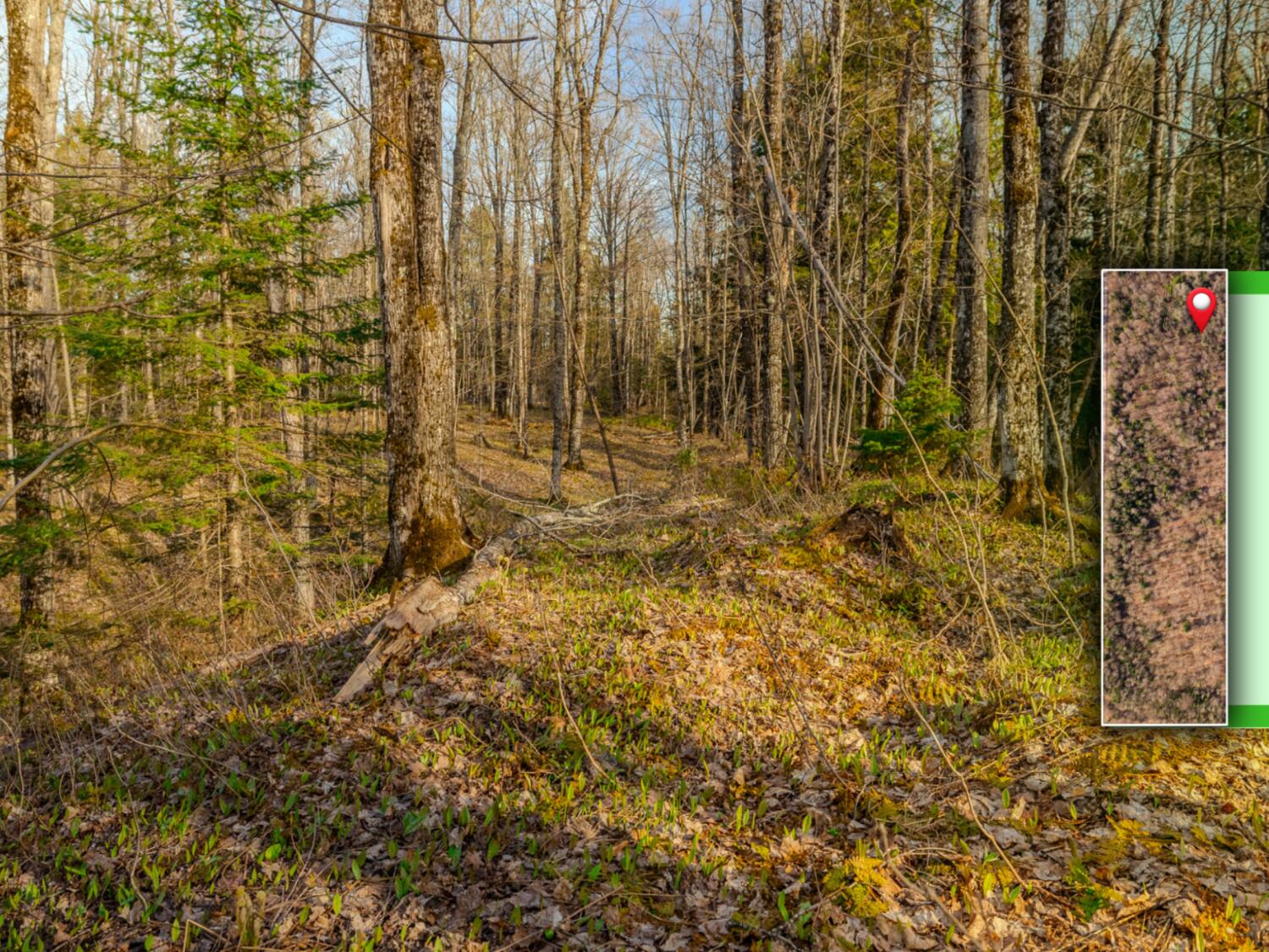 1 Horoscope Road Pelkie, MI 49958 - Photo 7 of 12 7