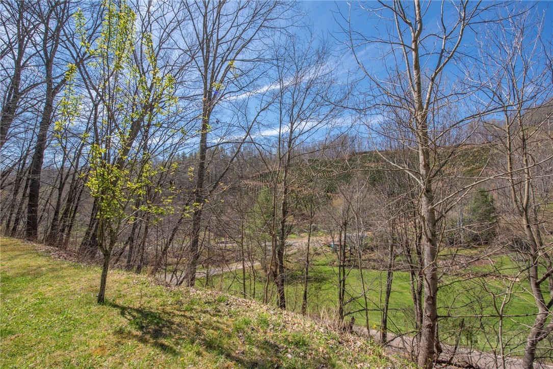 1848 West Mill Creek Road Warrensville, NC 28693 - Photo 3 of 50 a backyard of a house with lots of green space
