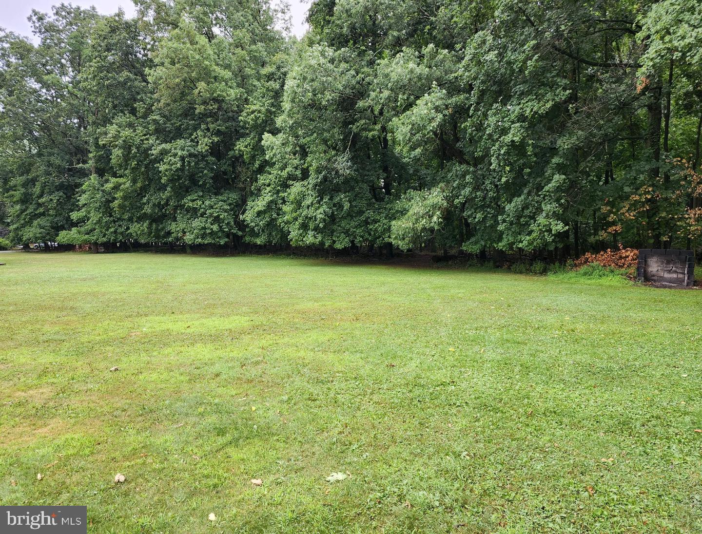 143 Swopes Valley Road Pine Grove, PA 17963 - Photo 37 of 39 Yard