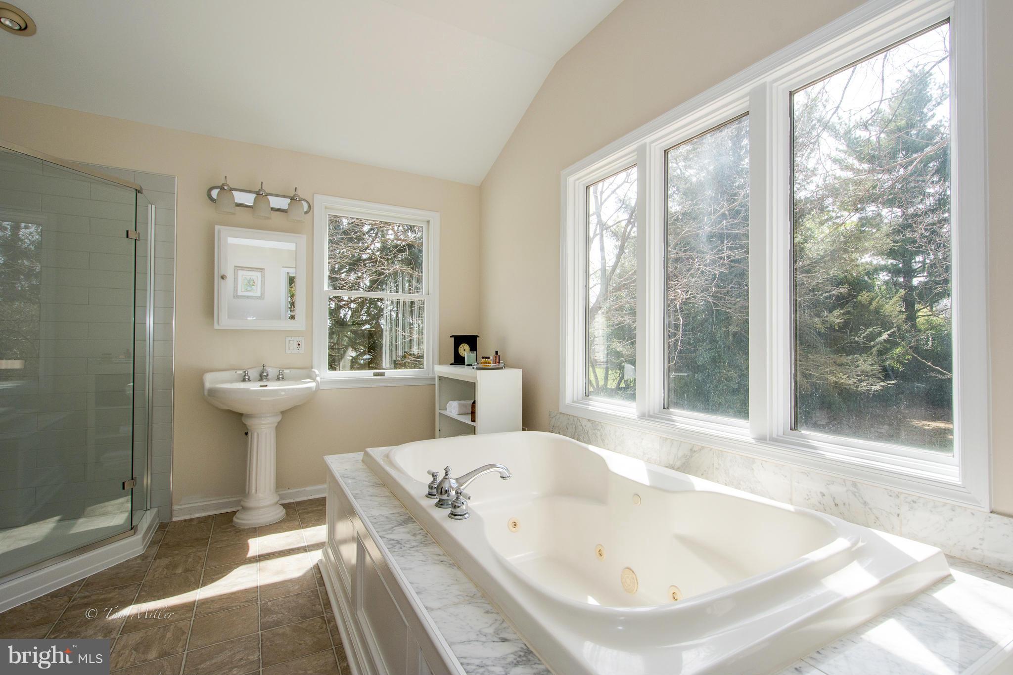 5302 Ridge Road Mount Airy, MD 21771 - Photo 18 of 30 oversize jacuzzi tub with countryside view(master)