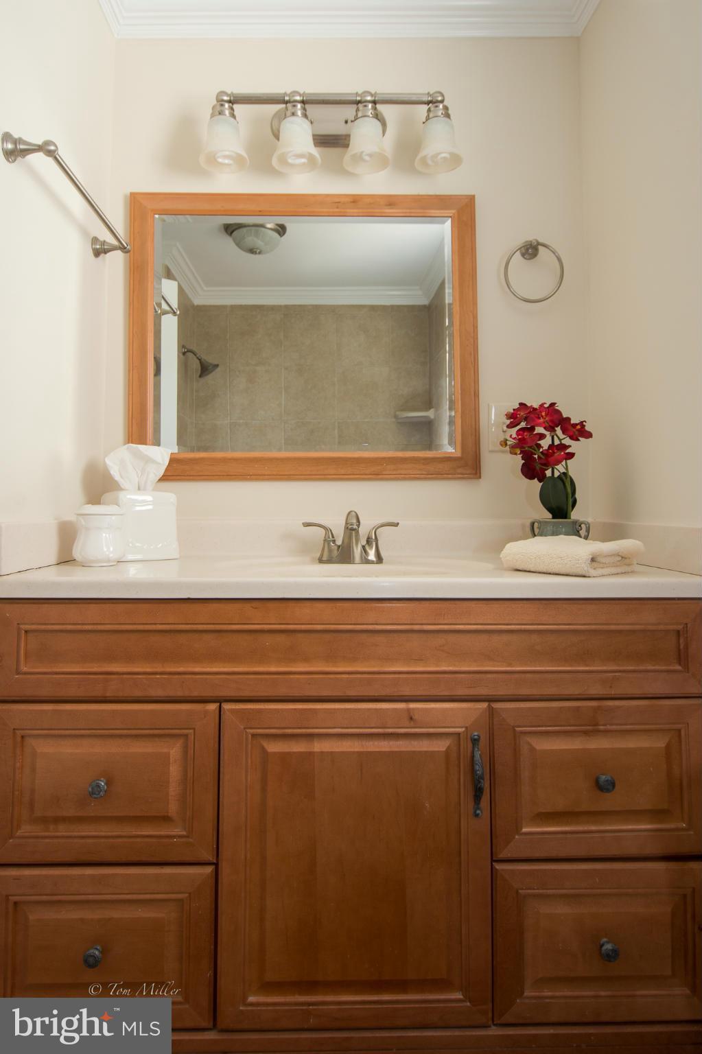 5302 Ridge Road Mount Airy, MD 21771 - Photo 24 of 30 hall bath