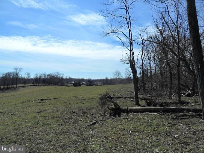 2765 Trough Road Shepherdstown, WV 25443 - Photo 11 of 20 Field