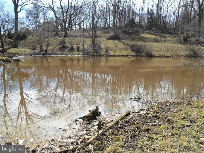 2765 Trough Road Shepherdstown, WV 25443 - Photo 10 of 20 2nd Pond
