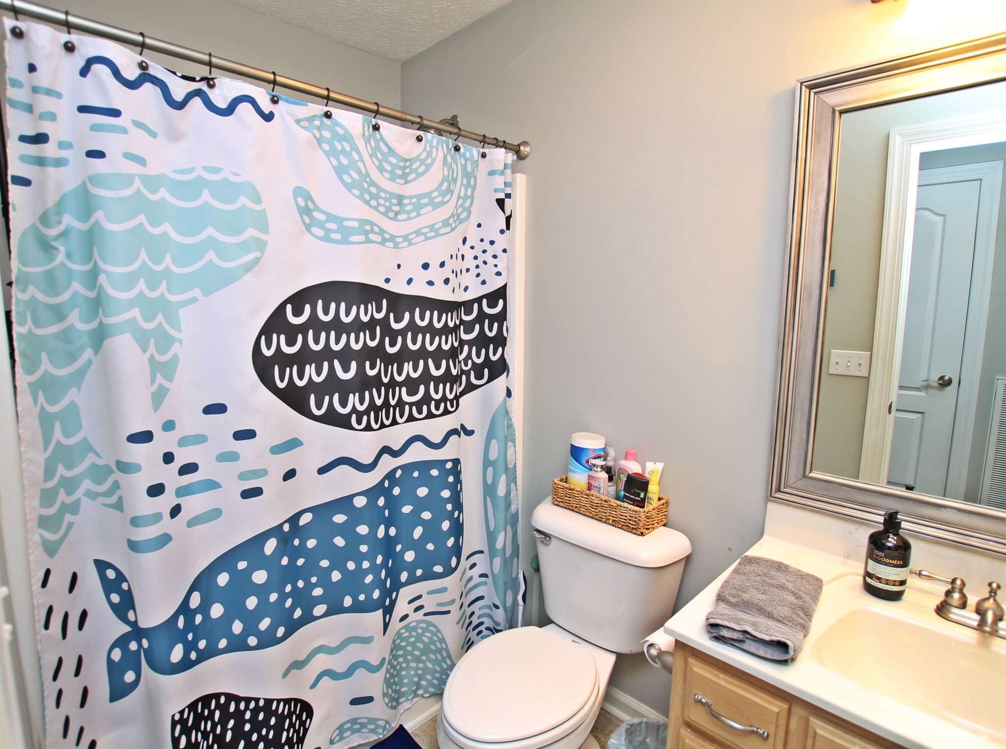 140 Fieldstone Lane Springfield, TN 37172 - Photo 27 of 41 a bathroom with a toilet a sink and a mirror