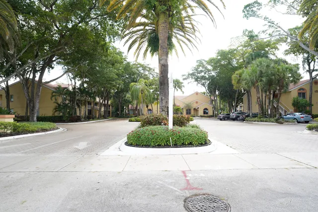 a view of road and trees