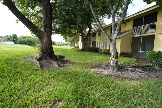 a view of a house with a yard and tree