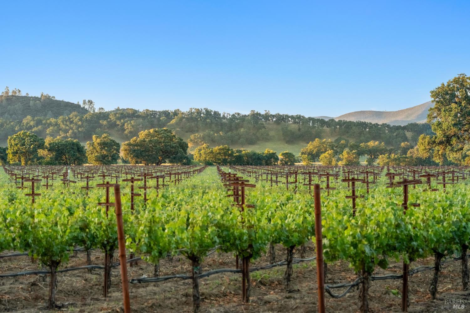 1785 Pope Canyon Road St. Helena, CA 94574 - Photo 27 of 30