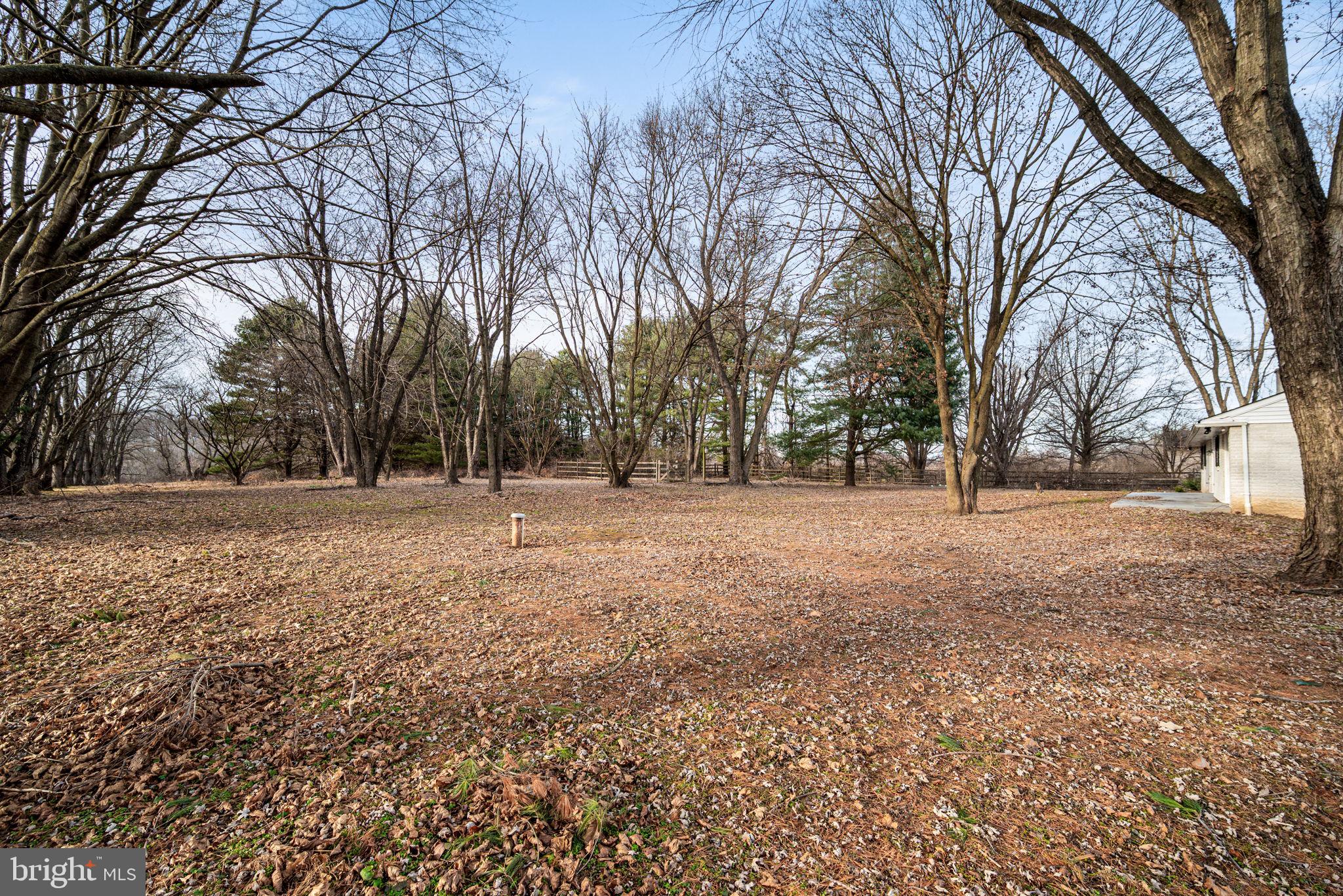 13 Keller Road Cochranville, PA 19330 - Photo 38 of 41 a view of outdoor space with lots of trees