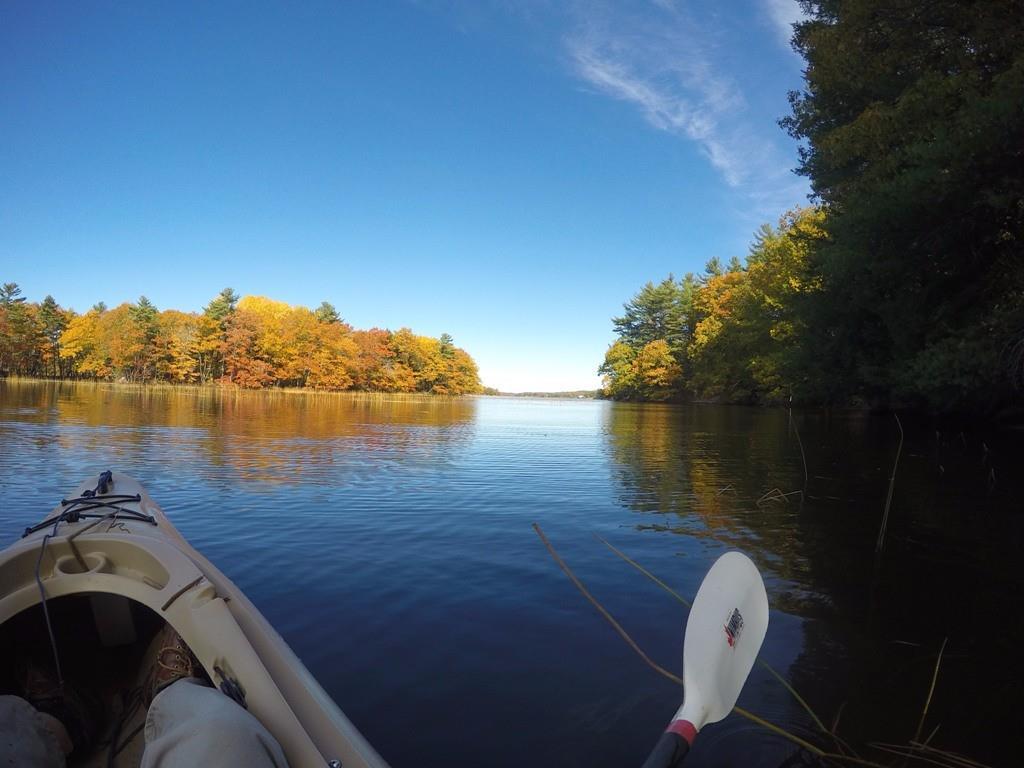 East side of Cove on The Kennebec