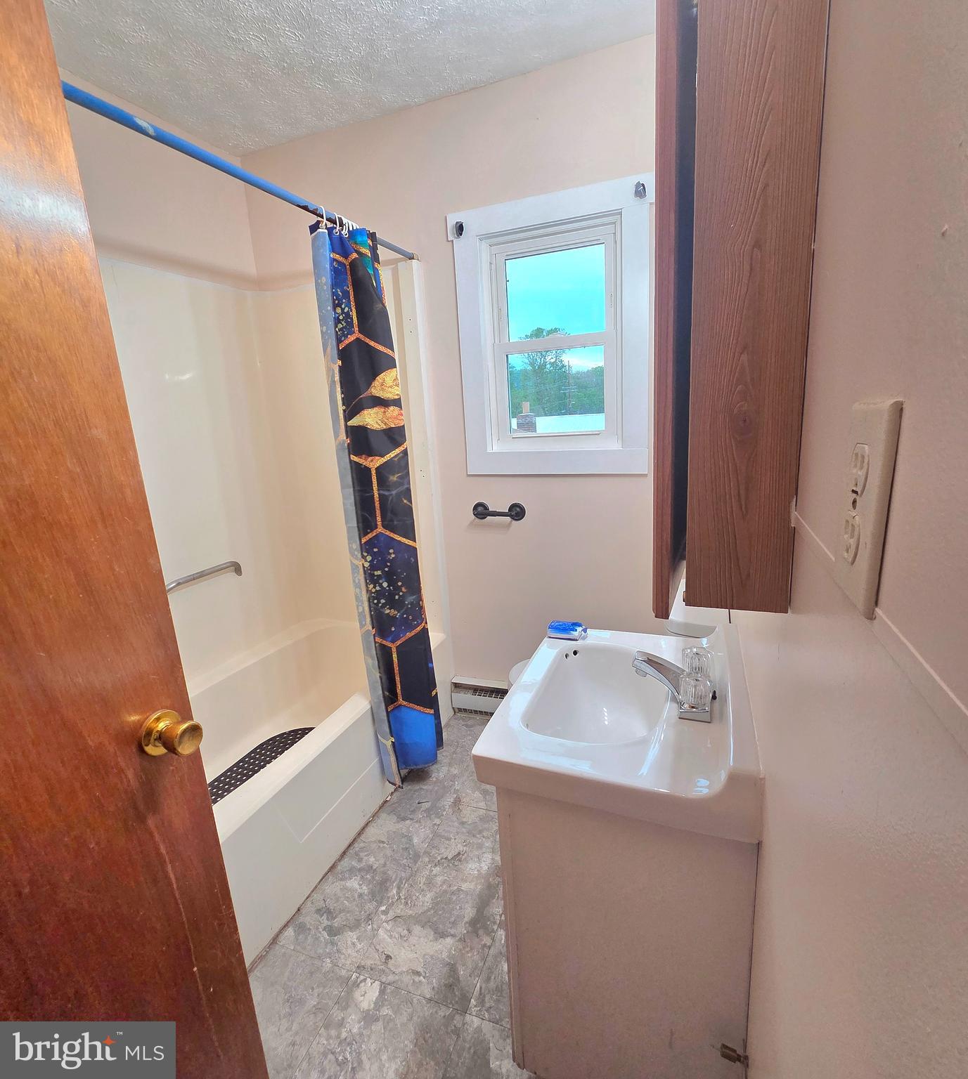 451 Harmison Place Romney, WV 26757 - Photo 21 of 61 bath