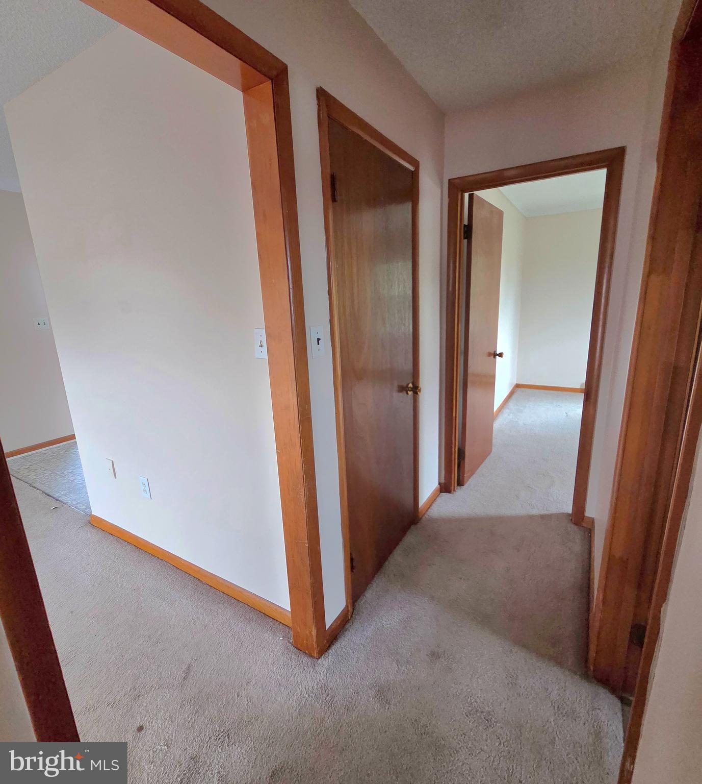 451 Harmison Place Romney, WV 26757 - Photo 22 of 61 hallway