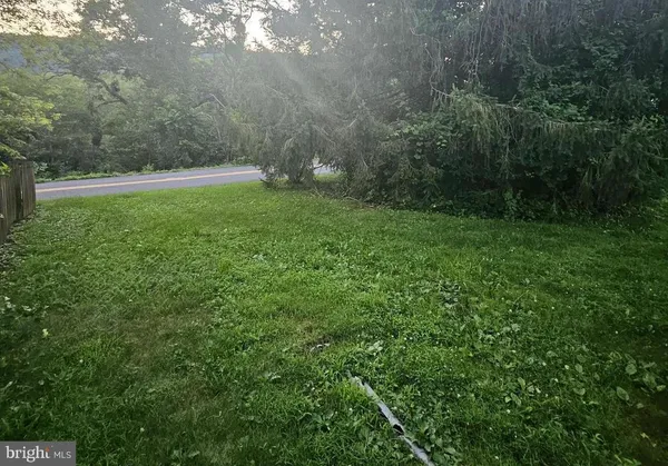 a view of yard with green space