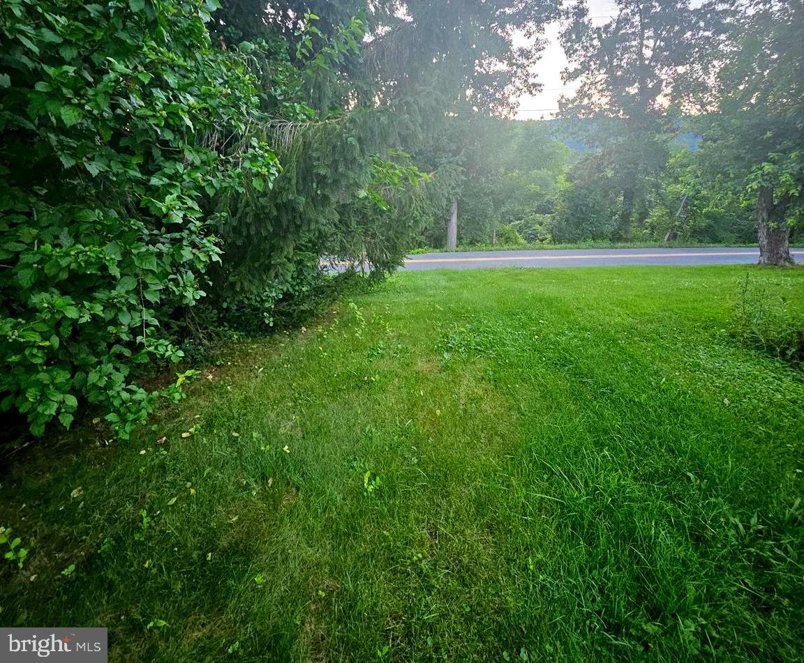 451 Harmison Place Romney, WV 26757 - Photo 57 of 61 back yard