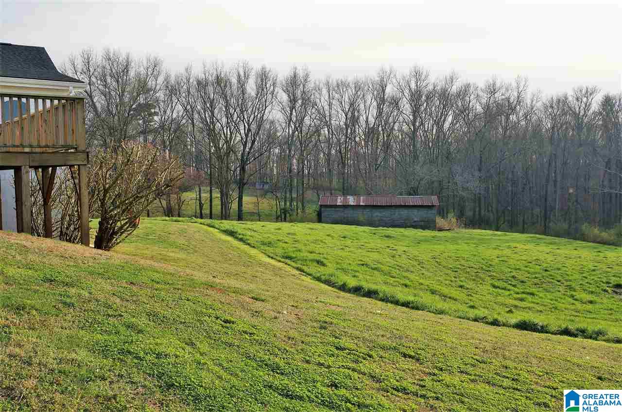 4891 County Road 49 Ranburne, AL 36273 - Photo 18 of 41