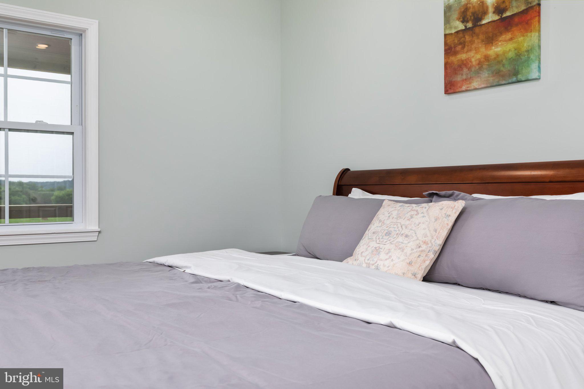 1195 Mountain View Drive Rileyville, VA 22650 - Photo 17 of 35 a bedroom with a bed and a window