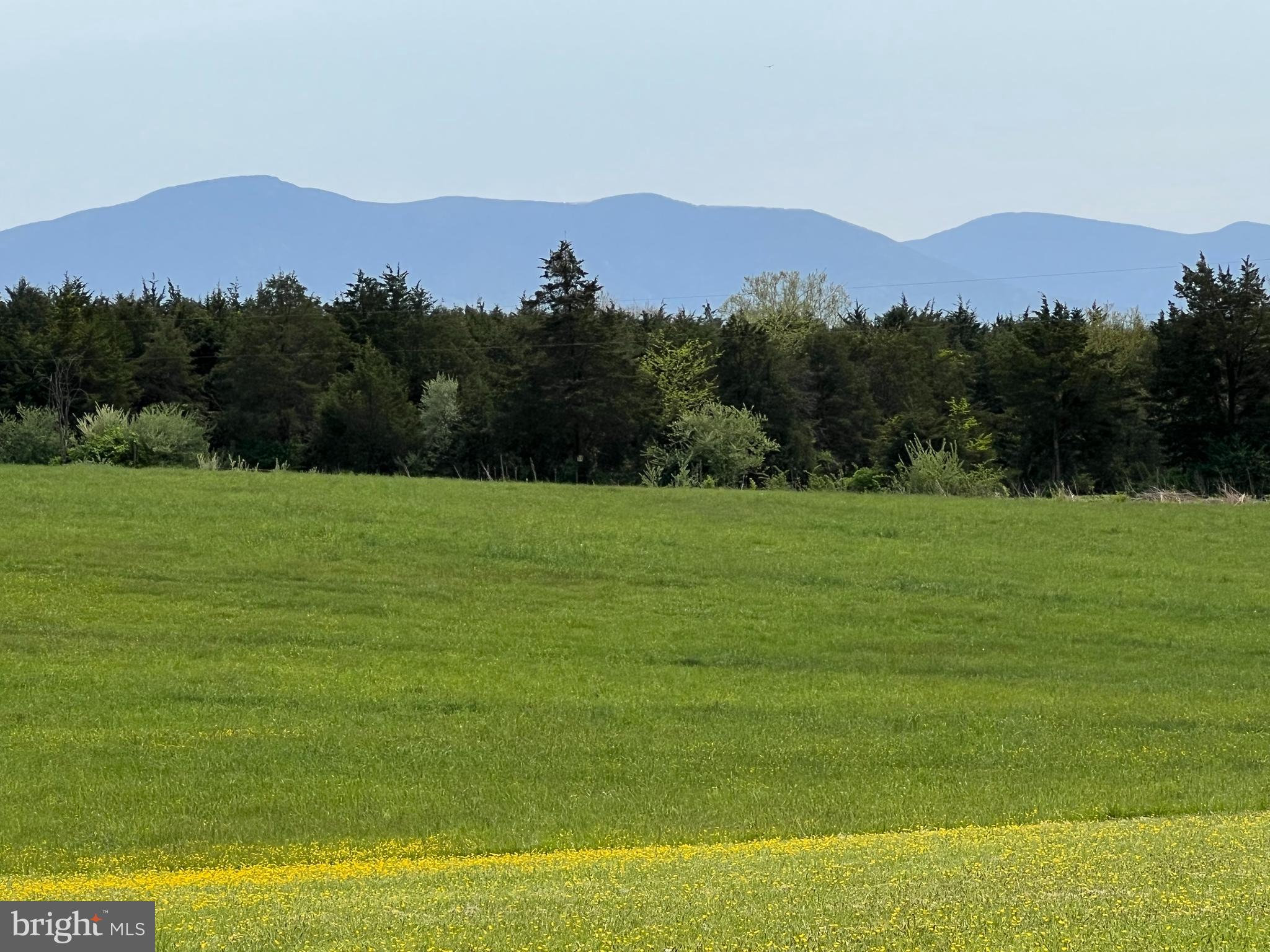 1195 Mountain View Drive Rileyville, VA 22650 - Photo 2 of 35 a view of a field with mountains in the background
