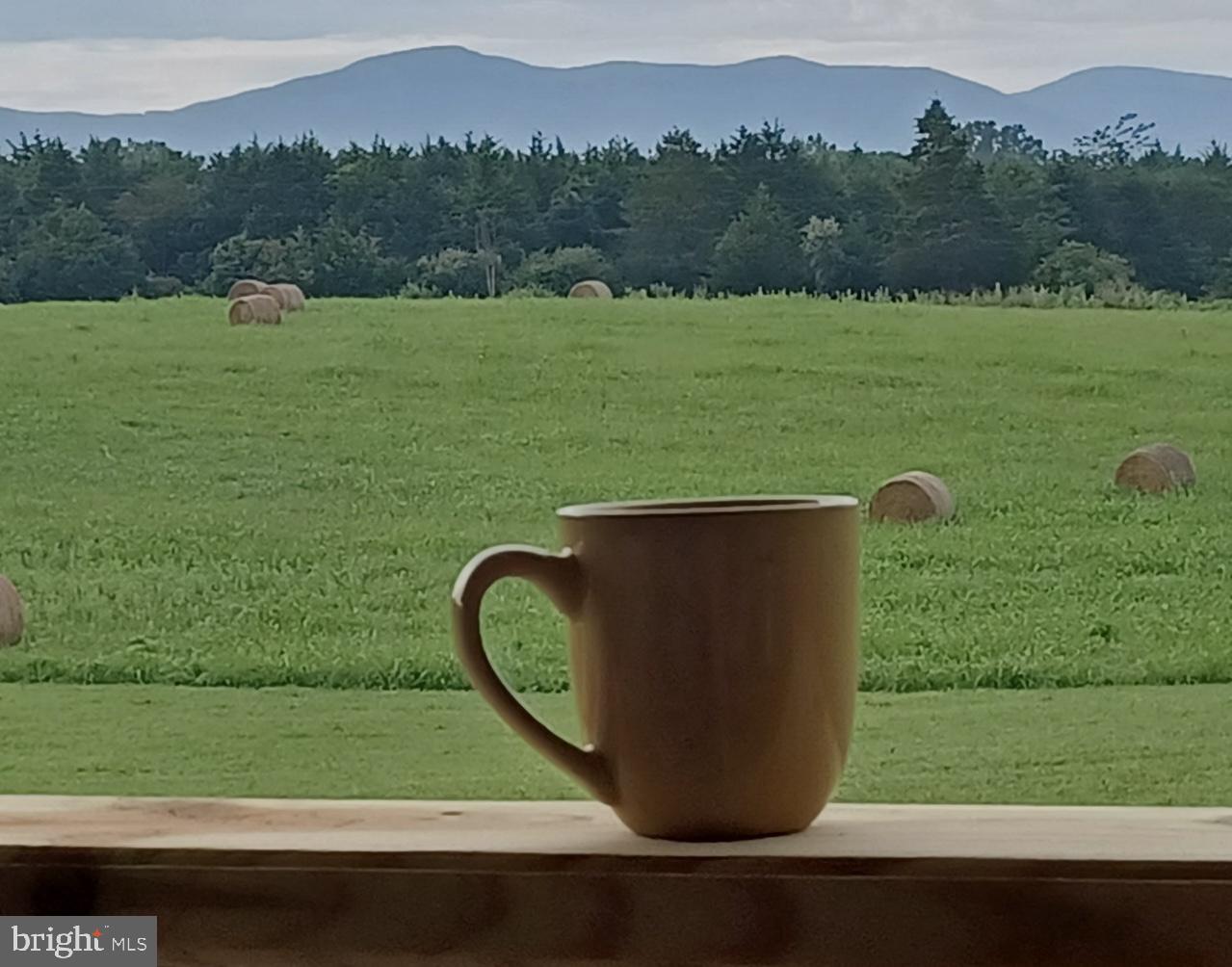 1195 Mountain View Drive Rileyville, VA 22650 - Photo 32 of 35 a view of a back yard