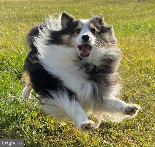 1195 Mountain View Drive Rileyville, VA 22650 - Photo 34 of 35 a view of entryway in the background