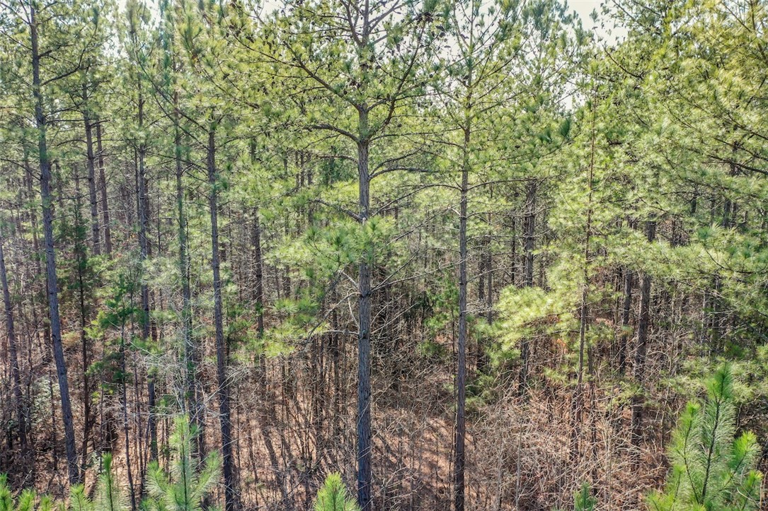 Lot 128 McAlister Road West Union, SC 29696 - Photo 11 of 34 Gallery Image 11