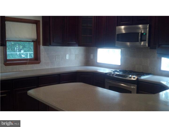 8609 Sagamore Road Philadelphia, PA 19128 - Photo 12 of 25