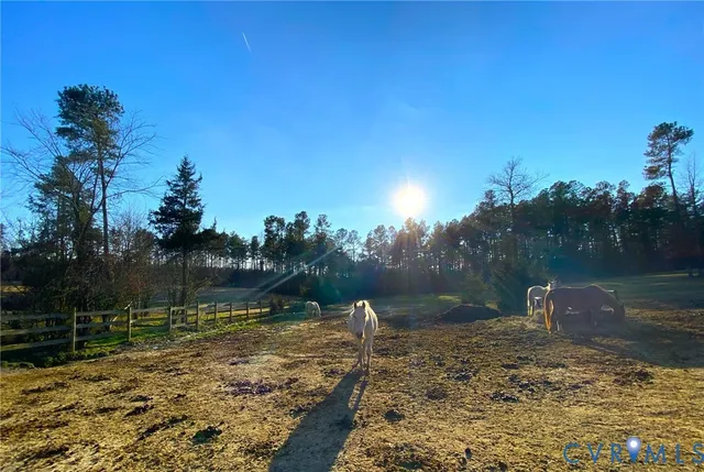 a backyard of a house with lots of green space