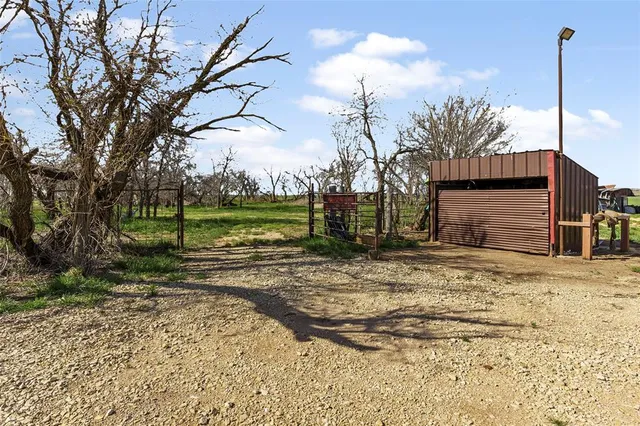 a view of a yard with palm trees