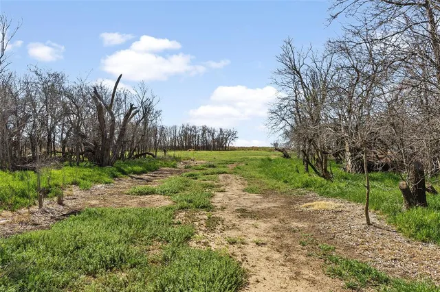 a view of outdoor space with trees all around