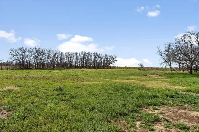 a view of garden with trees