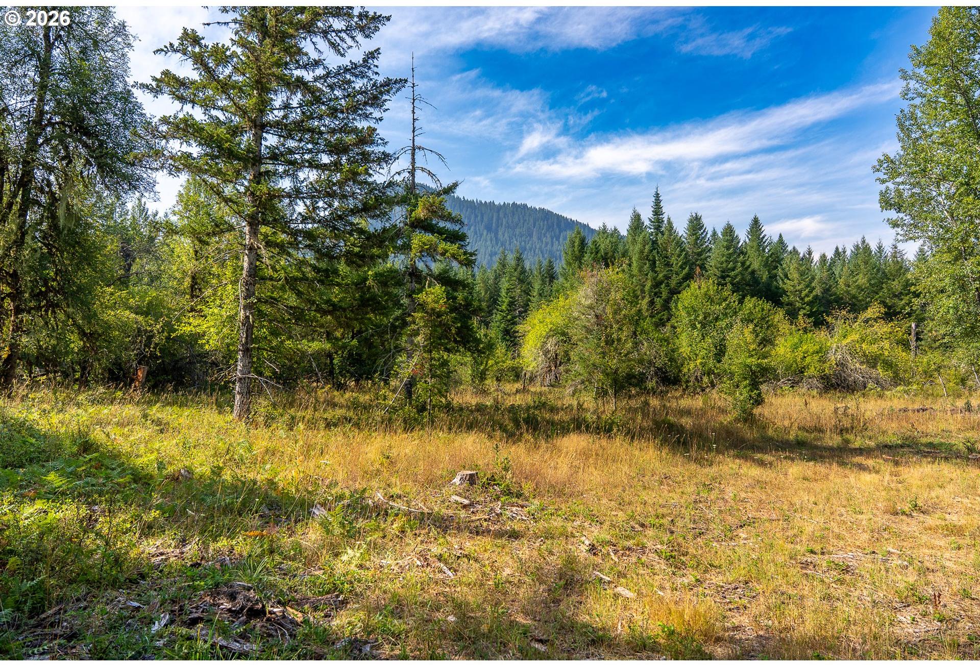 Hawk Meadows Road, Unit 5 Carson, WA 98610 - Photo 11 of 47 Gallery Image 11